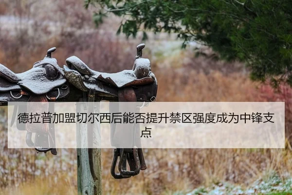 德拉普加盟切尔西后能否提升禁区强度成为中锋支点