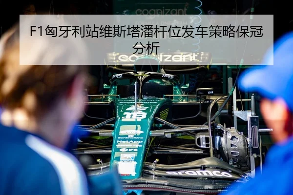 xiong-ya-li-zhan-wei-si-ta-pan-gan-wei-fa-che-ce-lve-bao-guan-fen-xi-3-799.jpg