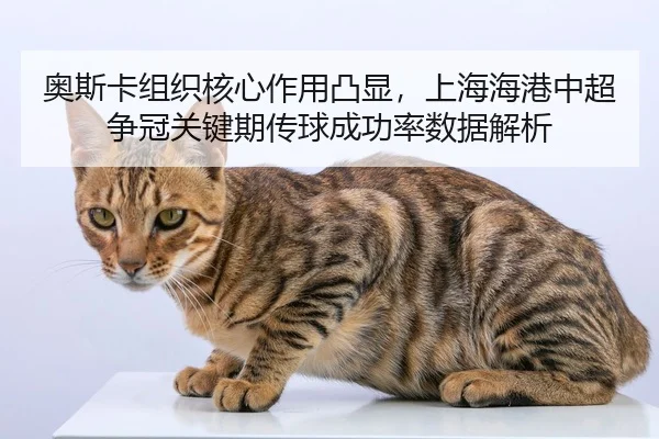 ao-si-ka-zu-zhi-he-xin-zuo-yong-tu-xian-shang-hai-hai-gang-zhong-chao-zheng-guan-guan-jian-qi-chuan-qiu-cheng-gong-lv-2-684.jpg