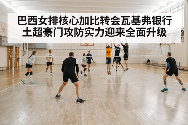 volleyball court action